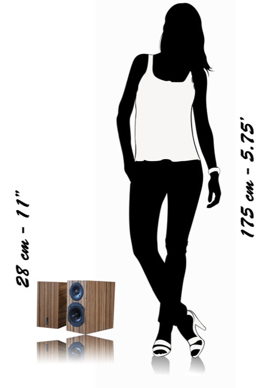 Relative Dimensions Mini