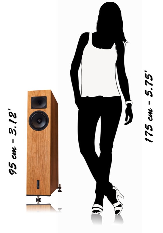 Blumenhofer Acoustics' big Fun 17